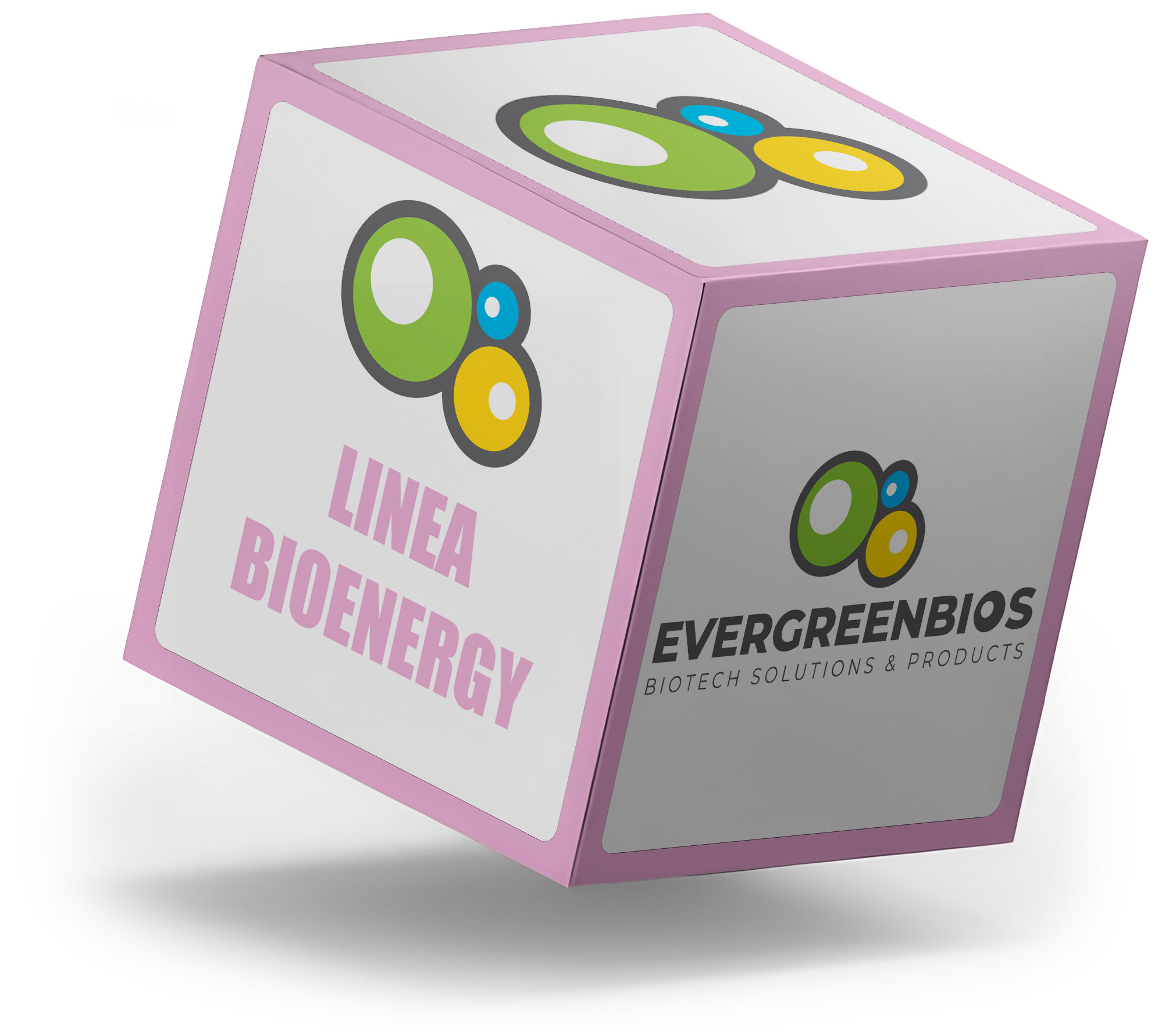 Linea Bioenergy