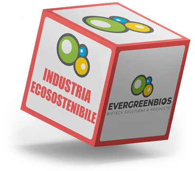 Industria Ecosostenibile