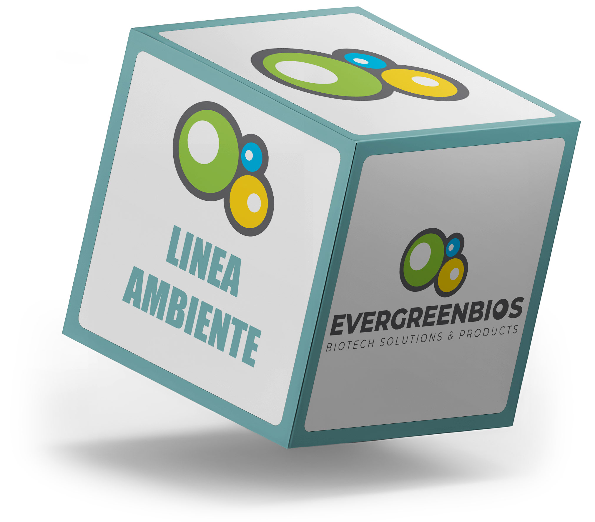 Linea ambiente